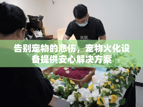 告别宠物的悲伤，宠物火化设备提供安心解决方案