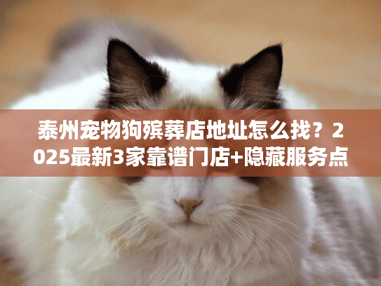 泰州宠物狗殡葬店地址怎么找？2025最新3家靠谱门店+隐藏服务点揭秘