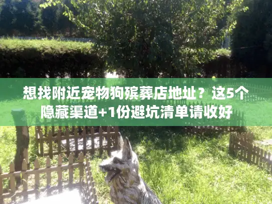 想找附近宠物狗殡葬店地址？这5个隐藏渠道+1份避坑清单请收好
