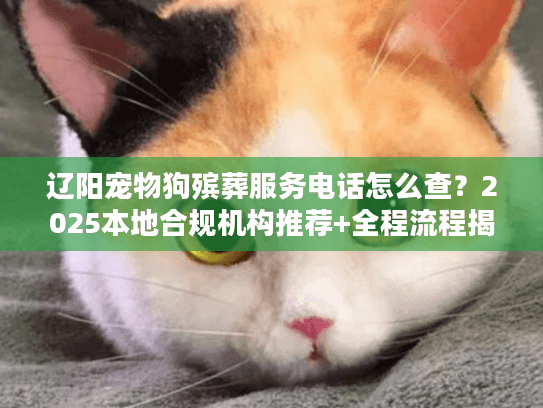 辽阳宠物狗殡葬服务电话怎么查?2025本地合规机构推荐+全程流程揭秘 辽阳宠物狗殡葬服务电话怎么查?2025本地合规机构推荐+全程流程揭秘