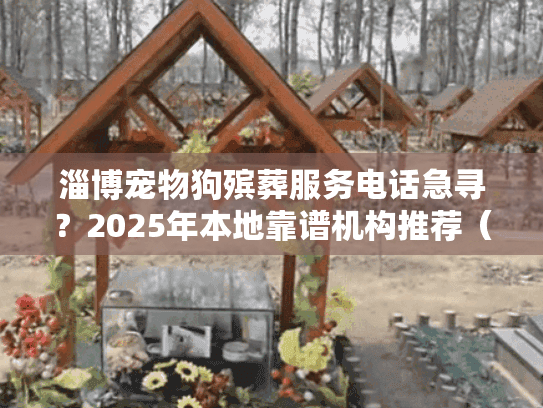 淄博宠物狗殡葬服务电话急寻？2025年本地靠谱机构推荐（附流程）