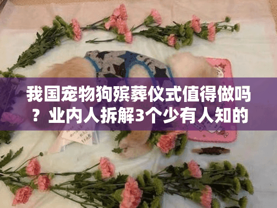 我国宠物狗殡葬仪式值得做吗?业内人拆解3个少有人知的服务真相与案例 我国宠物狗殡葬仪式值得做吗?业内人拆解3个少有人知的服务真相与案例