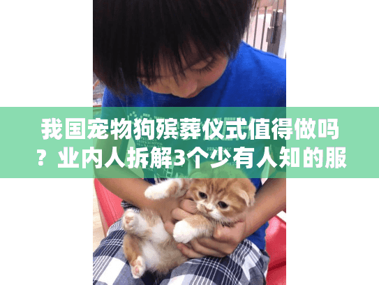 我国宠物狗殡葬仪式值得做吗?业内人拆解3个少有人知的服务真相与案例 我国宠物狗殡葬仪式值得做吗?业内人拆解3个少有人知的服务真相与案例