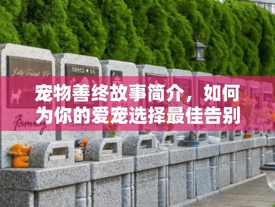 宠物善终故事简介，如何为你的爱宠选择最佳告别方式？
