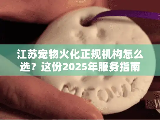 江苏宠物火化正规机构怎么选？这份2025年服务指南请收好