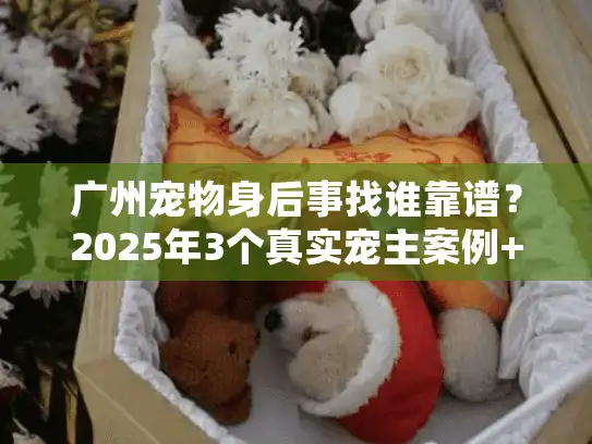 广州宠物身后事找谁靠谱？2025年3个真实宠主案例+避坑细节分享