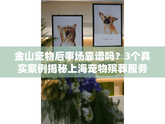 金山宠物后事场靠谱吗？3个真实案例揭秘上海宠物殡葬服务真相