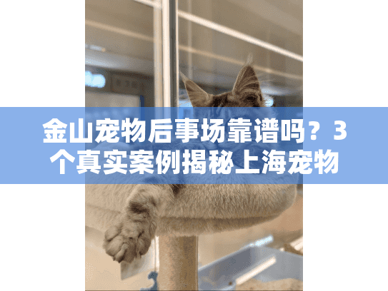 金山宠物后事场靠谱吗？3个真实案例揭秘上海宠物殡葬服务真相