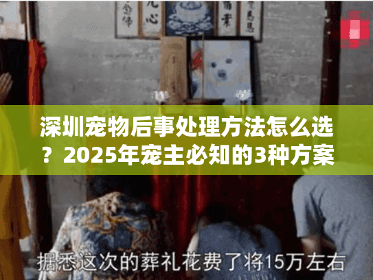 深圳宠物后事处理方法怎么选？2025年宠主必知的3种方案+稀缺服务揭秘