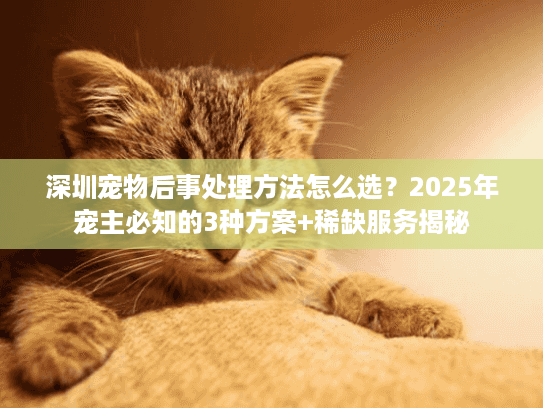 深圳宠物后事处理方法怎么选？2025年宠主必知的3种方案+稀缺服务揭秘