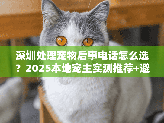 深圳处理宠物后事电话怎么选？2025本地宠主实测推荐+避坑全攻略