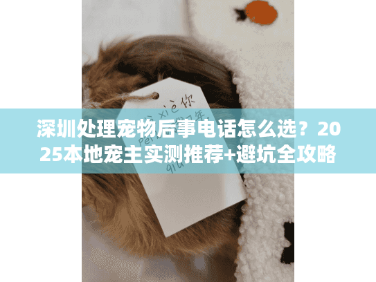 深圳处理宠物后事电话怎么选？2025本地宠主实测推荐+避坑全攻略