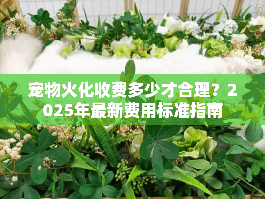 宠物火化收费多少才合理?2025年最新费用标准指南 宠物火化收费多少才合理?2025年最新费用标准指南