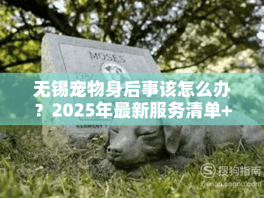 无锡宠物身后事该怎么办?2025年最新服务清单+避坑技巧(内附真实宠主案例) 无锡宠物身后事该怎么办?2025年最新服务清单+避坑技巧(内附真实宠主案例)