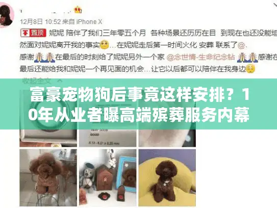 富豪宠物狗后事竟这样安排?10年从业者曝高端殡葬服务内幕 富豪宠物狗后事竟这样安排?10年从业者曝高端殡葬服务内幕