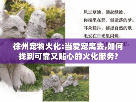 徐州宠物火化:当爱宠离去,如何找到可靠又贴心的火化服务?