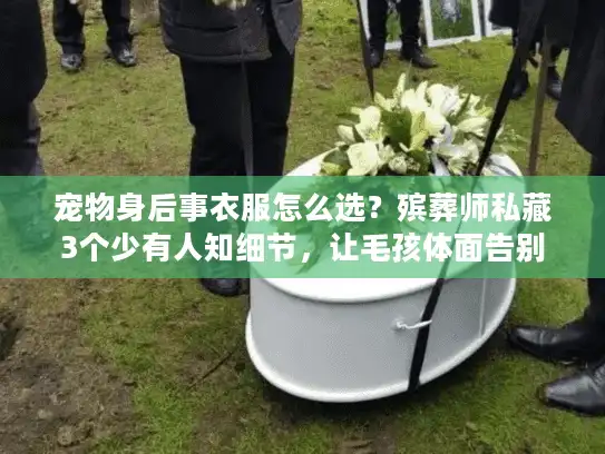 宠物身后事衣服怎么选？殡葬师私藏3个少有人知细节，让毛孩体面告别