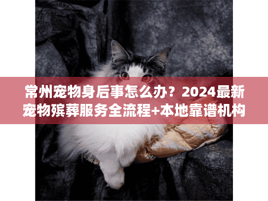 常州宠物身后事怎么办？2024最新宠物殡葬服务全流程+本地靠谱机构推荐