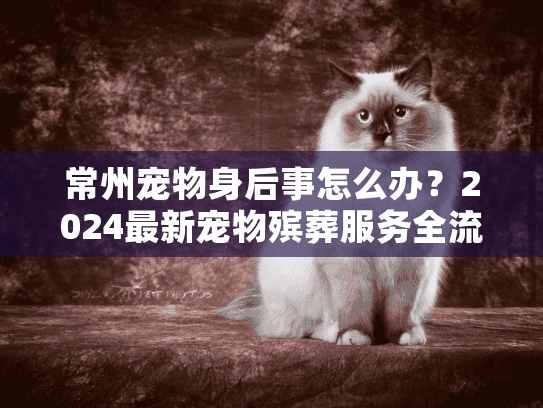 常州宠物身后事怎么办？2024最新宠物殡葬服务全流程+本地靠谱机构推荐