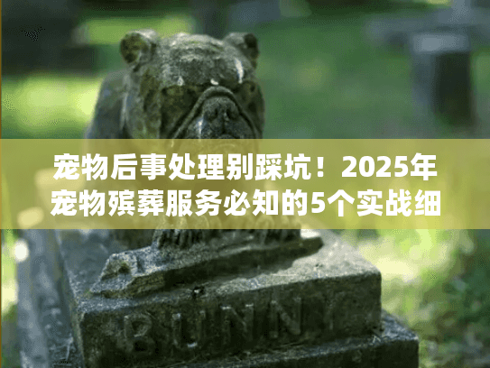 宠物后事处理别踩坑！2025年宠物殡葬服务必知的5个实战细节