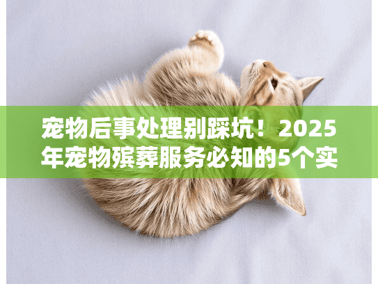 宠物后事处理别踩坑！2025年宠物殡葬服务必知的5个实战细节