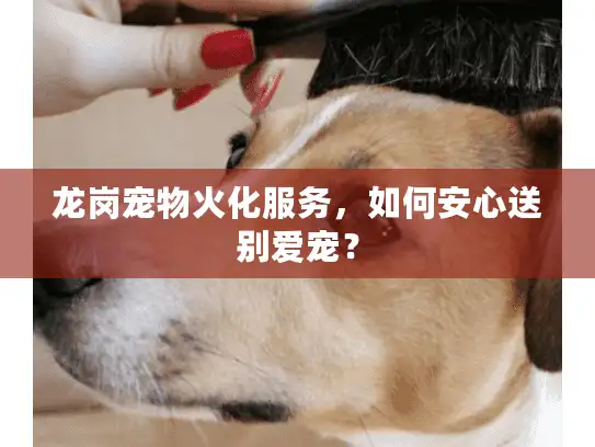 龙岗宠物火化服务，如何安心送别爱宠？
