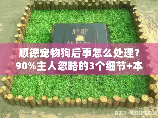 顺德宠物狗后事怎么处理？90%主人忽略的3个细节+本地机构推荐（2025最新）