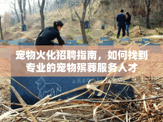 宠物火化招聘指南，如何找到专业的宠物殡葬服务人才