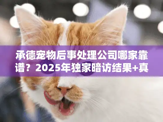 承德宠物后事处理公司哪家靠谱?2025年独家暗访结果+真实收费明细 承德宠物后事处理公司哪家靠谱?2025年独家暗访结果+真实收费明细