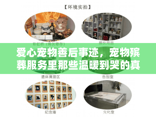爱心宠物善后事迹，宠物殡葬服务里那些温暖到哭的真实故事你见过吗？