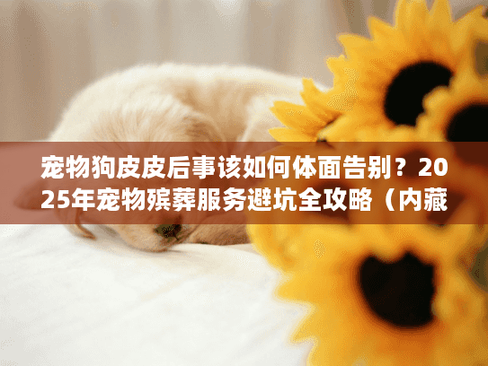 宠物狗皮皮后事该如何体面告别？2025年宠物殡葬服务避坑全攻略（内藏行业潜规则）