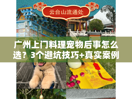 广州上门料理宠物后事怎么选？3个避坑技巧+真实案例分享