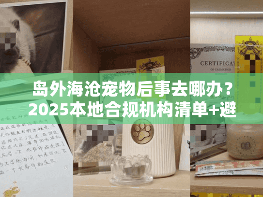 岛外海沧宠物后事去哪办？2025本地合规机构清单+避坑攻略（附真实案例）