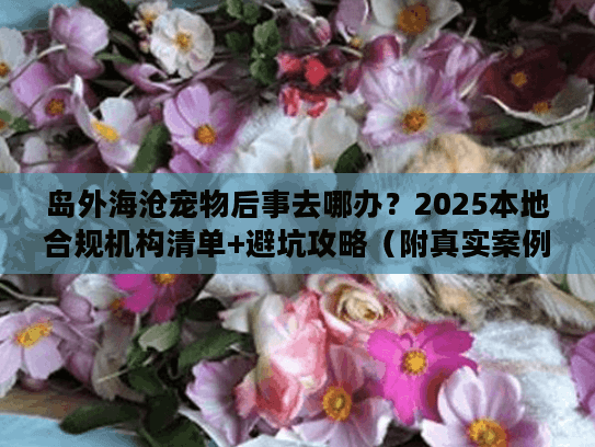 岛外海沧宠物后事去哪办？2025本地合规机构清单+避坑攻略（附真实案例）