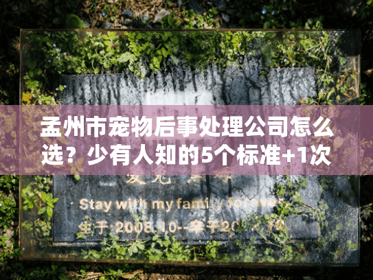 孟州市宠物后事处理公司怎么选？少有人知的5个标准+1次亲身经历分享