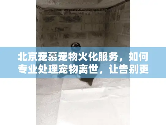 北京宠慕宠物火化服务，如何专业处理宠物离世，让告别更温暖？