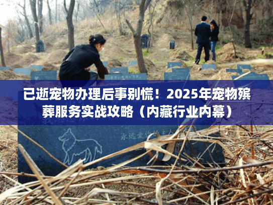 已逝宠物办理后事别慌！2025年宠物殡葬服务实战攻略（内藏行业内幕）