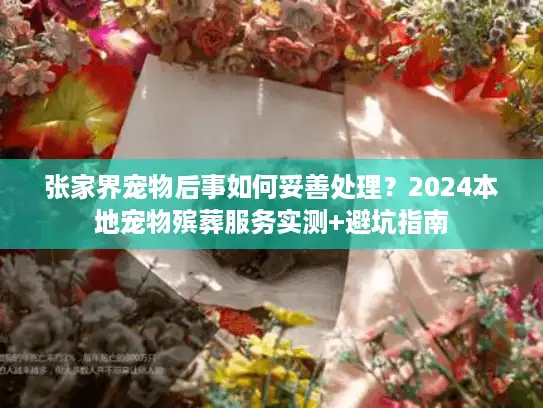 张家界宠物后事如何妥善处理？2024本地宠物殡葬服务实测+避坑指南