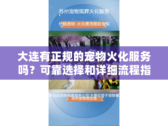 大连有正规的宠物火化服务吗？可靠选择和详细流程指南