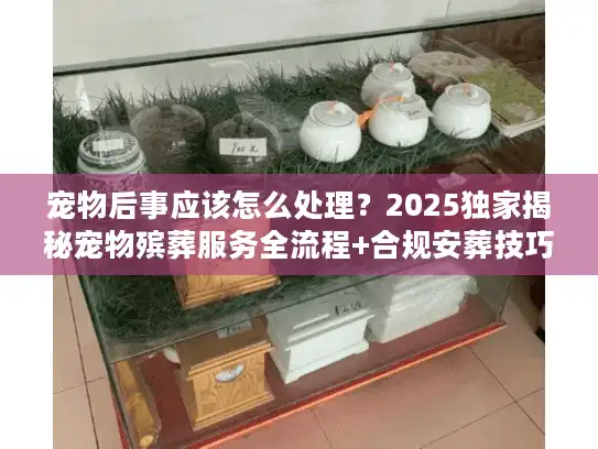宠物后事应该怎么处理？2025独家揭秘宠物殡葬服务全流程+合规安葬技巧（内附避坑清单）