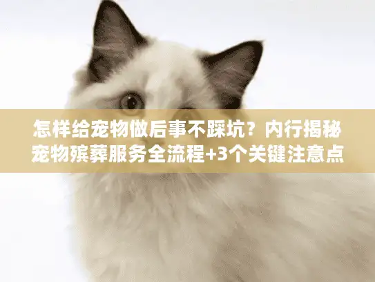 怎样给宠物做后事不踩坑？内行揭秘宠物殡葬服务全流程+3个关键注意点