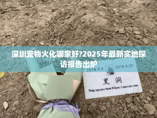深圳宠物火化哪家好?2025年最新实地探访报告出炉