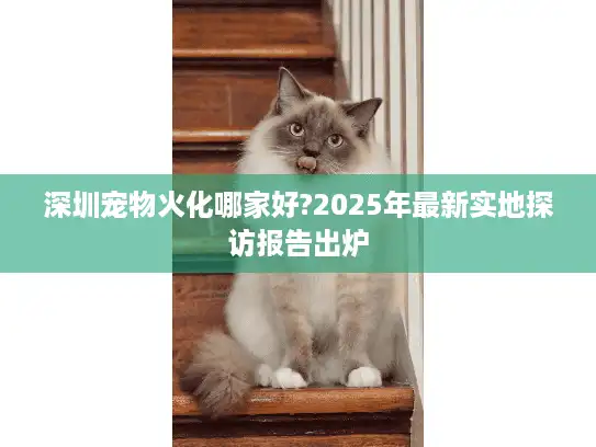 深圳宠物火化哪家好?2025年最新实地探访报告出炉