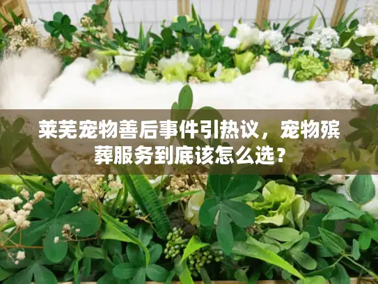 莱芜宠物善后事件引热议，宠物殡葬服务到底该怎么选？