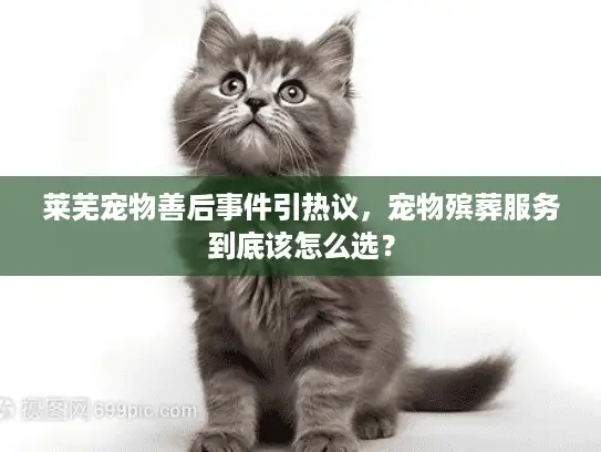 莱芜宠物善后事件引热议，宠物殡葬服务到底该怎么选？