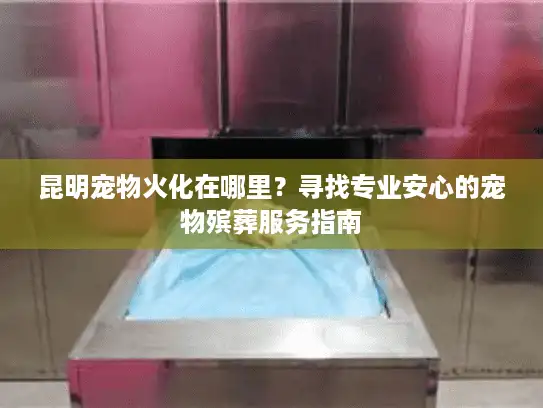 昆明宠物火化在哪里?寻找专业安心的宠物殡葬服务指南 昆明宠物火化在哪里?寻找专业安心的宠物殡葬服务指南