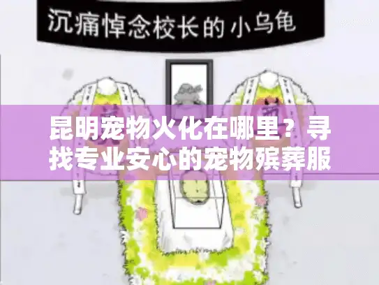 昆明宠物火化在哪里?寻找专业安心的宠物殡葬服务指南 昆明宠物火化在哪里?寻找专业安心的宠物殡葬服务指南