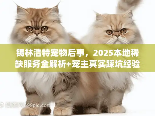 锡林浩特宠物后事，2025本地稀缺服务全解析+宠主真实踩坑经验