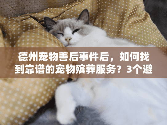 德州宠物善后事件后，如何找到靠谱的宠物殡葬服务？3个避坑技巧少走弯路