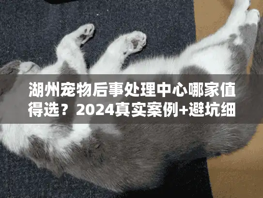 湖州宠物后事处理中心哪家值得选？2024真实案例+避坑细节全公开